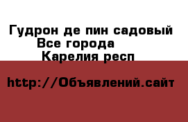 Гудрон де пин садовый - Все города  »    . Карелия респ.